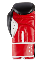 Boxerské rukavice BENLEE CARLOS