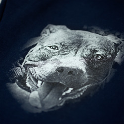 Tepláky PitBull West Coast DOG HEAD tmavě modré - open end