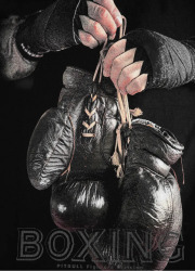 PitBull West Coast Pánská mikina Boxing FD - černá