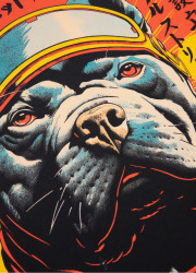 PitBull West Coast Triko FUJI - bílé