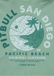 PitBull West Coast Pánska mikina PLANET SURF - mint