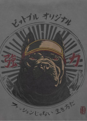 PitBull West Coast Pánská mikina MT FUJI crewneck - zeleno/šedá
