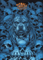 PitBull West Coast Pánská mikina GUARDIAN ANGEL crewneck - černá