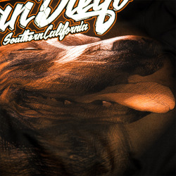 PitBull West Coast Mikina SAN DIEGO DOG s kapucí - černá