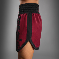 Pánské Boxerské šortky Venum x Assassin’s Creed Shadows - burgury/černé