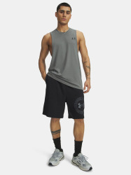 Pánské kraťasy Under Armour UA Rival LW Graphic - černé