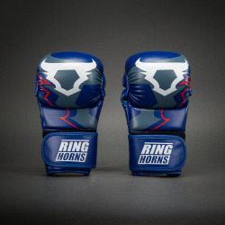 RINGHORNS Sparring rukavice CHARGER - modro/červené