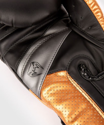 Boxerské rukavice VENUM ELITE Evo - černo/zlaté