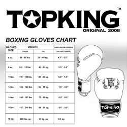 Boxerské rukavice TOP KING TKBGCT-2C2 - Chinese culture