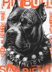 PitBull West Coast Triko BLACKY - bílé