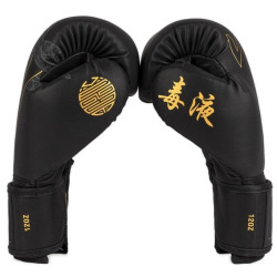 Boxerské rukavice Venum Serpenti - černo/stříbrno/zlaté