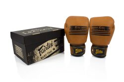 Boxerské rukavice Fairtex BGV21 Legacy