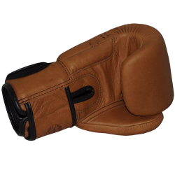 Boxerské rukavice Fairtex BGV21 Legacy
