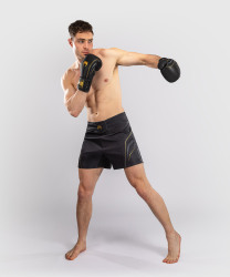Pánské fight šortky VENUM Streamline - černo/zlaté
